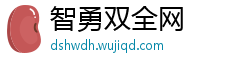 智勇双全网